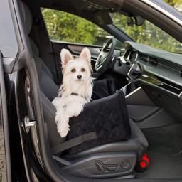 Amibelle Dog Car Seat Design Molly Velvet Medium